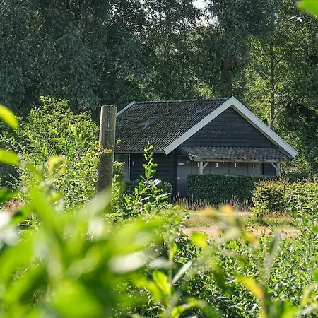 Trekkershut In De Campsite Putten