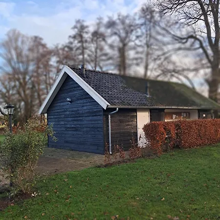 Trekkershut In De Campsite