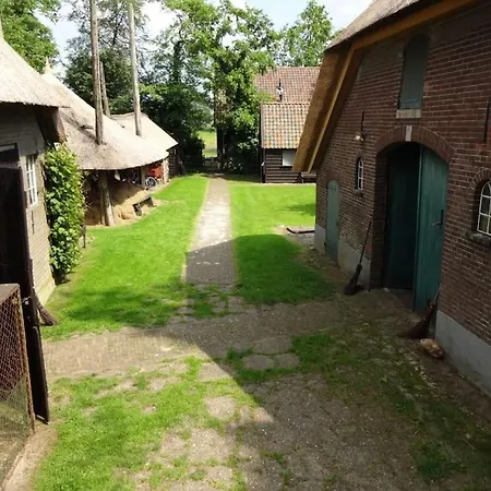 Trekkershut In De Campsite